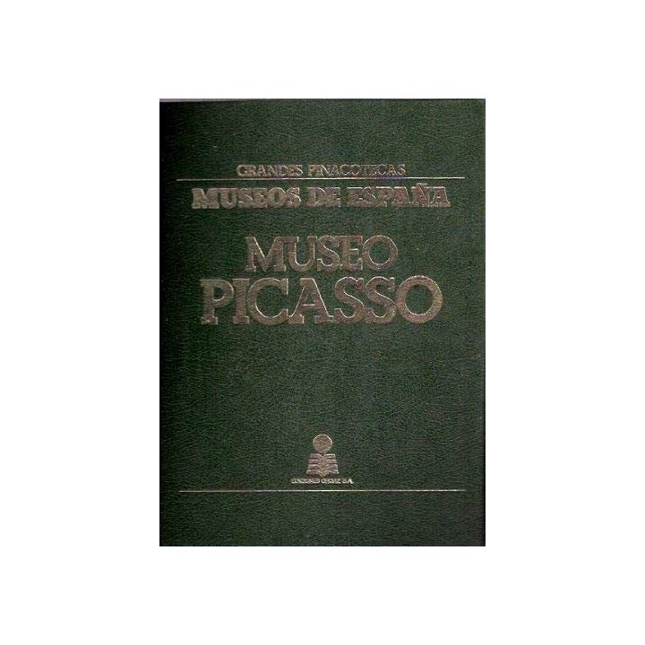 EL MUSEO PICASSO DE BARCELONA I (Museos de España, Grandes Pinacotecas)